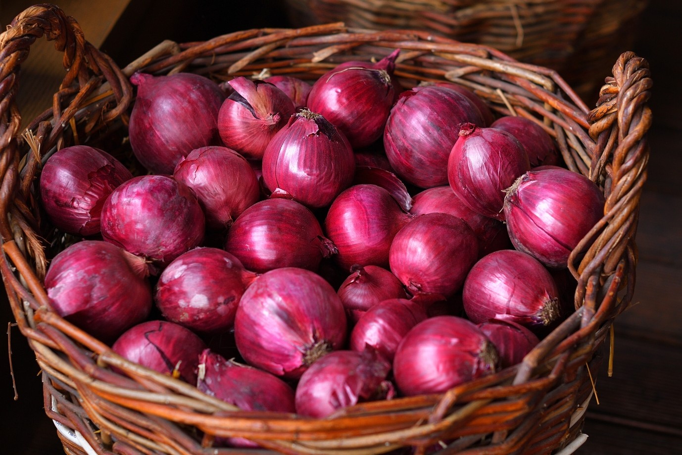 Red Onion